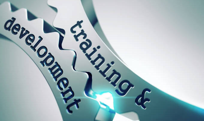 Training and Development